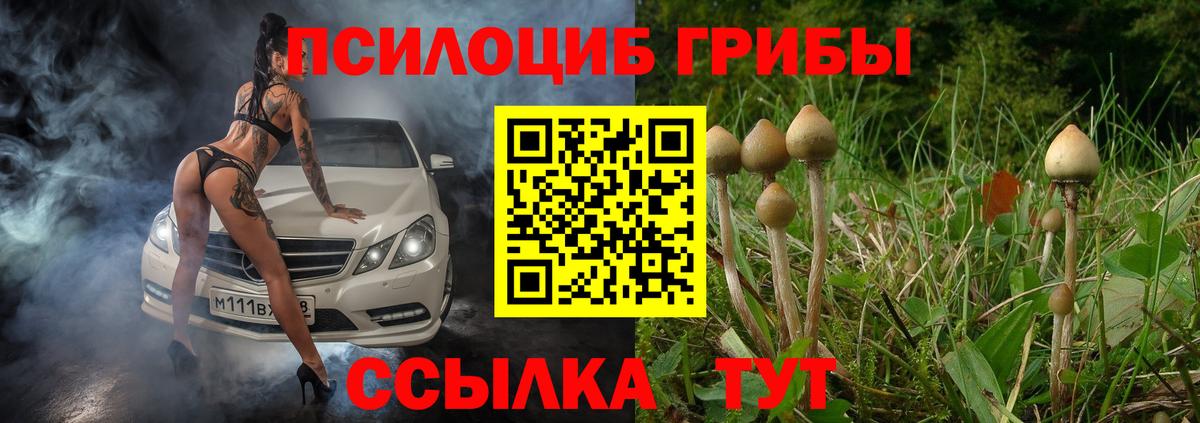 сколько стоит  Псилоцибиновые грибы ЛСД  Вход с VPN  Норильск 